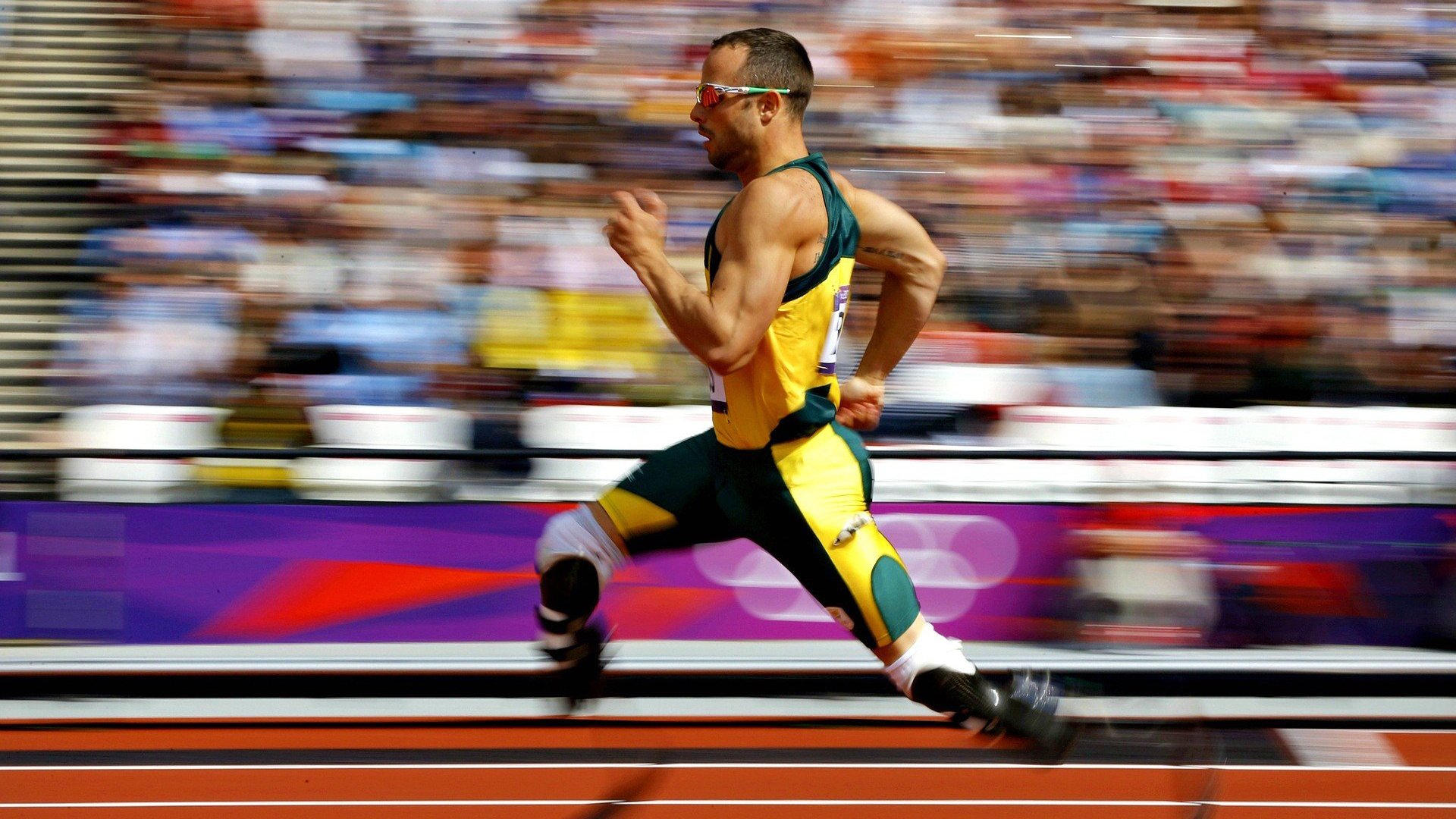 瑞安：从新星到全黑队主力，全面提升球队实力，瑞安贴吧