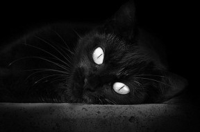 爱游戏体育入口-中国足协与FIFA合作，推动足球发展，中国足协合作伙伴