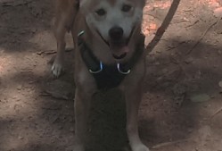 爱游戏体育在线app-_NBA总决赛：湖人队与凯尔特人队的巅峰对决_，总决赛湖人vs凯尔特人视频