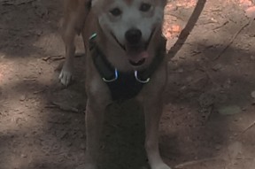 爱游戏体育在线app-_NBA总决赛:湖人队与凯尔特人队的巅峰对决_,总决赛湖人vs凯尔特人视频