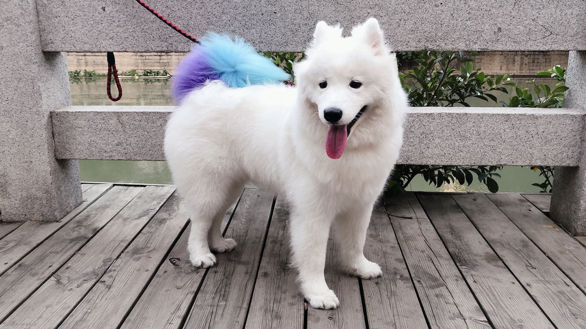 _潜水运动新体验:探索深海中的神秘世界_,潜水运动介绍